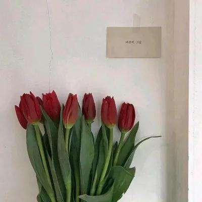 黎明之路九游版下载